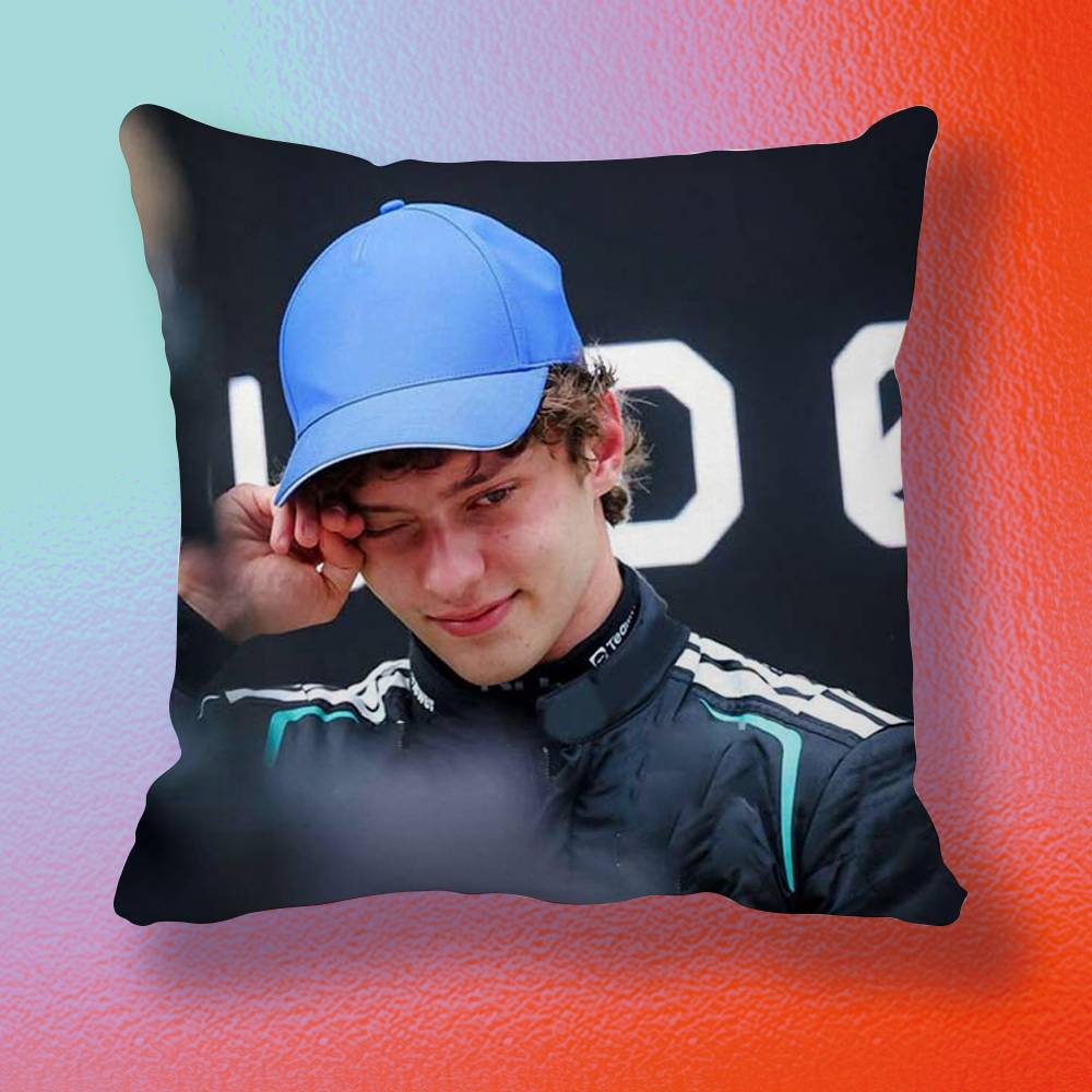 Funda de almohada Driver K-Kim - Home Textiles Definition reseña y precio