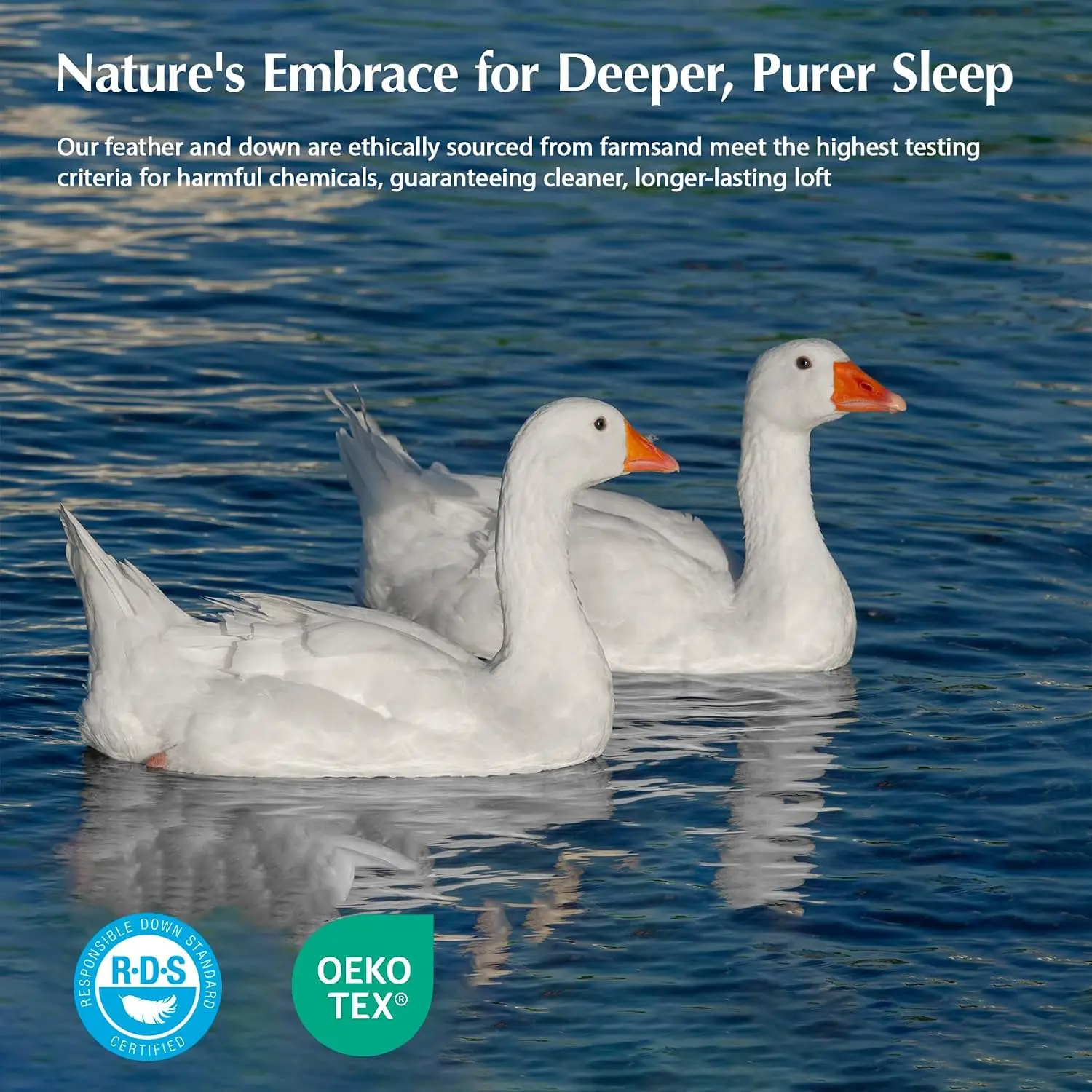 Edredones de Plumas de Ganso,  - Duvet Insert White reseña y precio